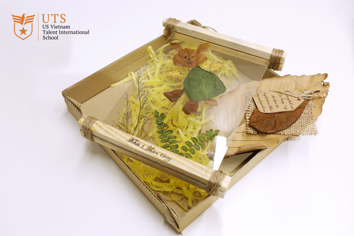 Dự Án Liên Môn “Cây Xanh Quanh Em”: Vì một Thế giới tốt đẹp hơn!